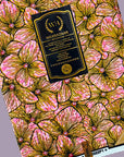 1er WAX - MAUA - Rose